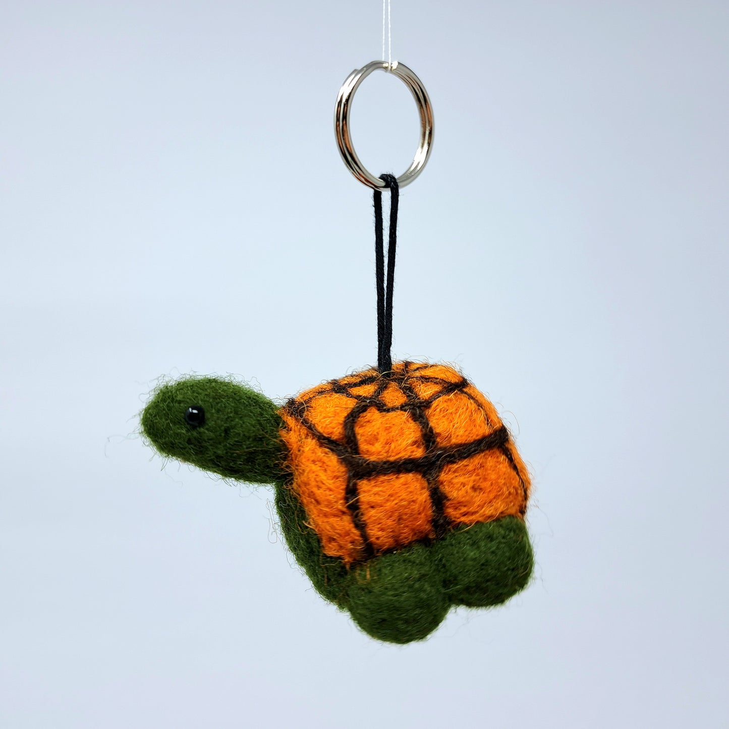 Schildkröte
